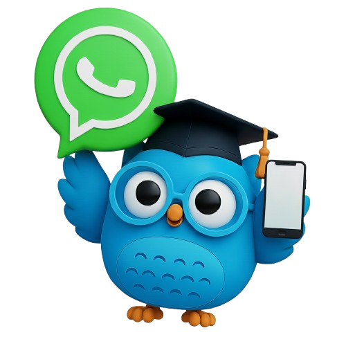 Contactar por WhatsApp